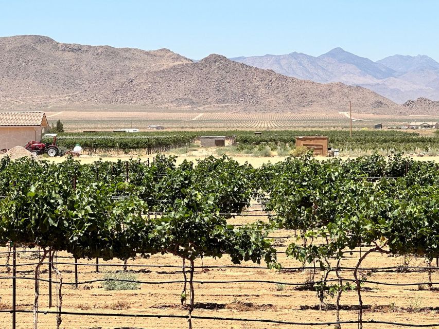 Scenic Desert Wine, Distillery Tastings/Brewery/RT66 & Lunch - The Van Ride: Time on the Road Without the Stress