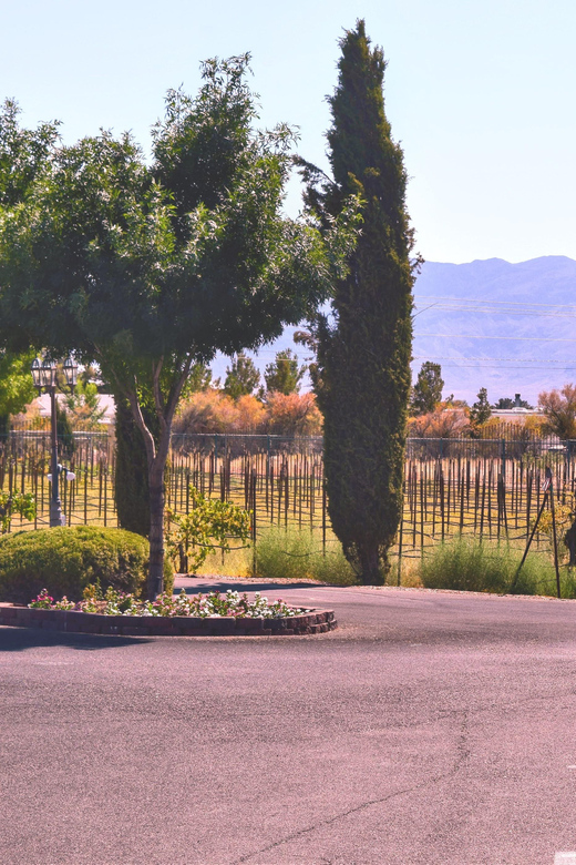 Scenic Las Vegas / Pahrump Wine Tasting Tour and Food - Key Things I’d Bookmark Before You Go