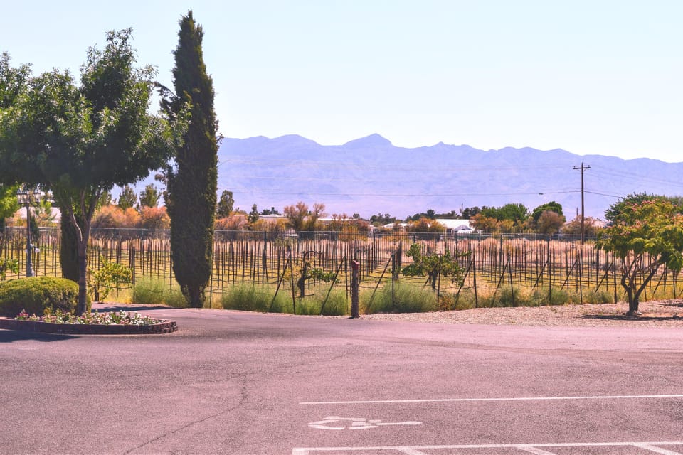 Scenic Las Vegas / Pahrump Wine Tasting Tour and Food - Charleston Peak vs. The Wine Down on Tue/Wed