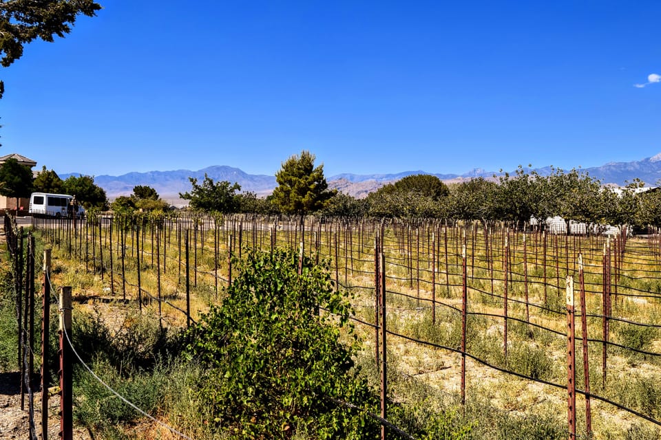 Scenic Las Vegas / Pahrump Wine Tasting Tour and Food - How the Day Flows: Driving, Short Transfers, and Two Tasting Hours
