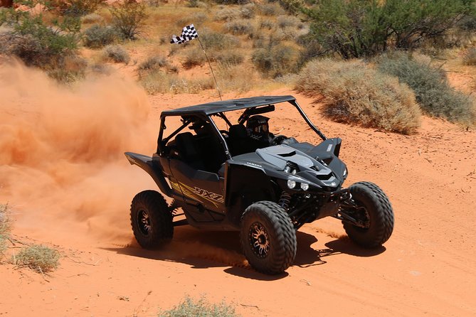 Scenic Valley of Fire 2-Person UTV Tour in Las Vegas - Breaks and photo moments: how the ride stays fun