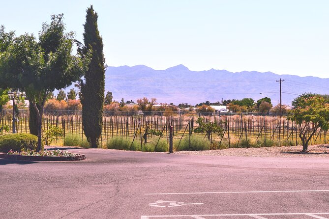 Scenic Wine Tasting Tour from Las Vegas with Food - Meeting at Las Vegas Harley-Davidson: the easiest starting line