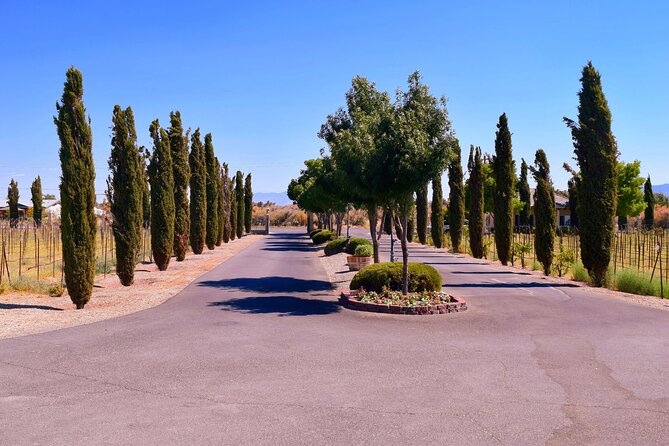 Scenic Wine Tasting Tour from Las Vegas with Food - Price and value: what $154.50 really buys