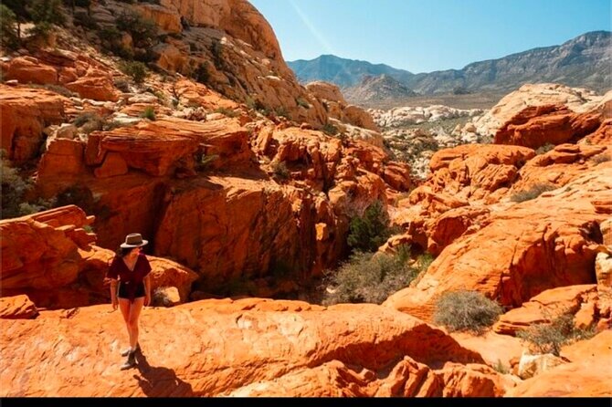 Shared Tour in Red Rock Canyon - MGM Grand Pickup and a Small-Group Van That Keeps Things Easy
