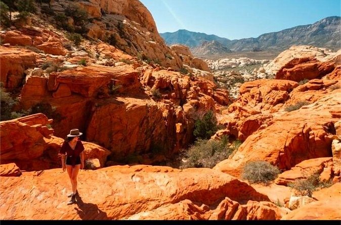 Shared Tour in Red Rock Canyon - Kirk at the Wheel: Storytelling, Photo Help, and Burro Surprises