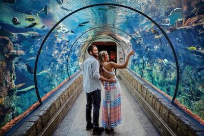 Shark Reef at Mandalay Bay Hotel and Casino - Stop 1: Finding Shark Reef inside the Mandalay Bay casino