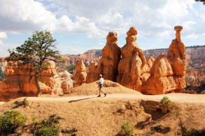Shuttle between Las Vegas, Bryce Canyon, Zion National Park and St George - Route reality: Las Vegas, Bryce, Zion Visitor Center, and St George