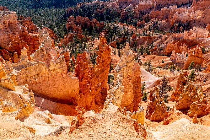 Shuttle between Las Vegas, Bryce Canyon, Zion National Park and St George - Pick-up and meeting points: how to avoid the hot-wait problem