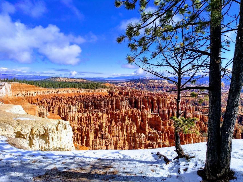 Shuttle between Las Vegas, Bryce, Zion and St George - What to Bring and What You Can’t Do on the Vehicle
