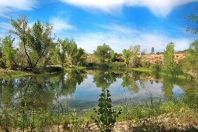 Skip the Line: Springs Preserve in Las Vegas Admission Ticket - How the ticket works: two connected experiences in one day