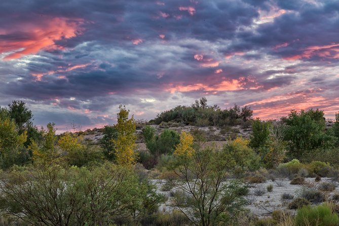 Skip the Line: Springs Preserve in Las Vegas Admission Ticket - Hands-on exhibits at Springs Preserve: learning that doesn’t feel like homework
