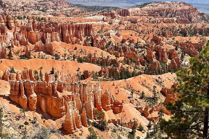 Small Group Day Tour To Explore Bryce Canyon & Zion National Park - Rainbow Point loop: short, easy, and a good photo target