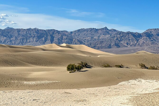 Small Group Family Tour at the Death Valley from Las Vegas - Badwater Basin: lowest point in North America, plus time to actually explore