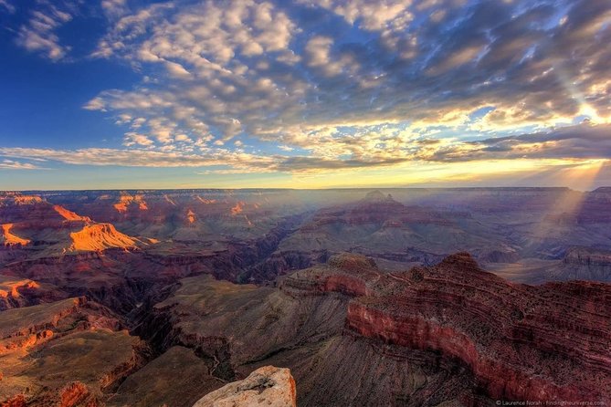 Small Group Grand Canyon, Hoover Dam and Joshua Tree Forest Tour - Joshua Tree: the Mojave icon you’ll actually have time to notice