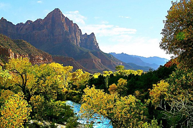 Small-Group Zion National Park Day Tour from Las Vegas - Mount Carmel Highway: the one-hour wildlife watch that makes the canyon feel alive