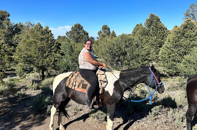 Sunset Horseback Ride With BBQ Dinner Las Vegas - Price and Value: Is $130 Fair for This Vegas Evening?
