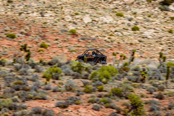 SXS Tour W/ A Stop at Pioneer Saloon Goodsprings in Las Vegas - The Mojave run to Goodsprings: where the off-road time actually shines