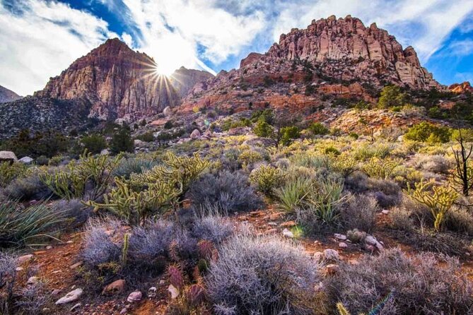 The Ultimate Red Rock Canyon Scenic Experience - What You’re Really Paying for: $145 Value With Guides, Admissions, and Pickup