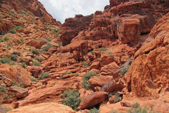 The Ultimate Red Rock Canyon Scenic Experience - Who This Tour Fits Best (And Who Might Skip It)