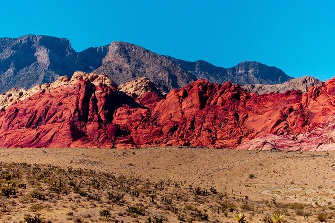 The Ultimate Red Rock Canyon Scenic Experience - My Booking Advice: When to Reserve and How to Stay Flexible