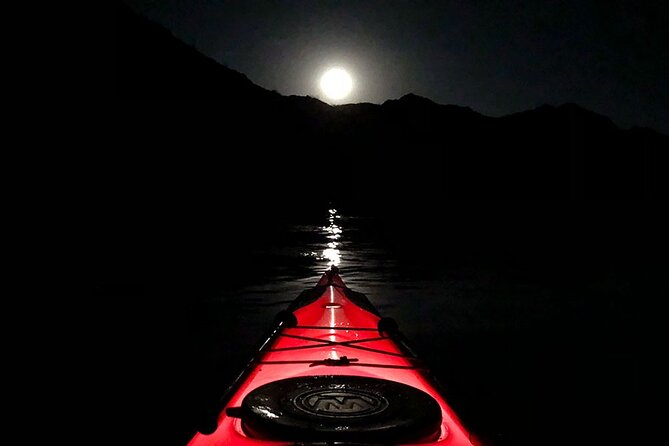 Twilight Black Canyon Kayak Tour with Bonfire Experience - Paddle out on the Colorado River: light, distance, and wildlife chances