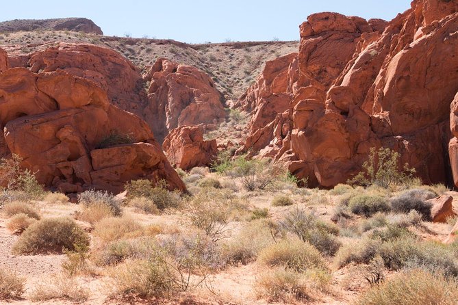 Valley of Fire 3-Hour ATV Tour from Las Vegas - Guides Make the Difference: Vince, Chad, Justin, Michael, Carlos