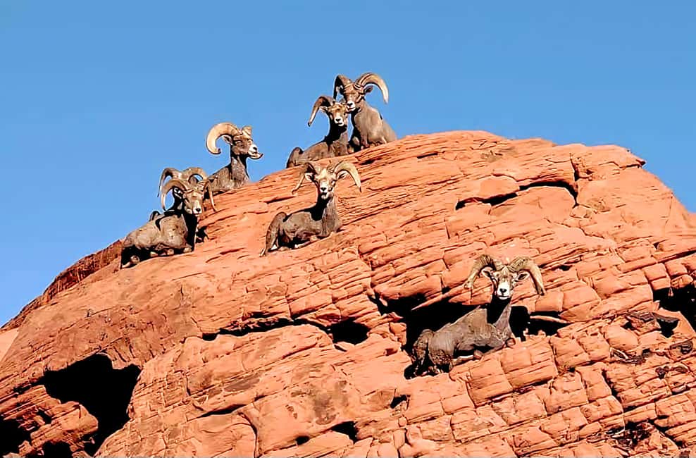 Valley of Fire - Photo Stops 1–3: Valley of Fire, Bee Hives, and Seven Sisters