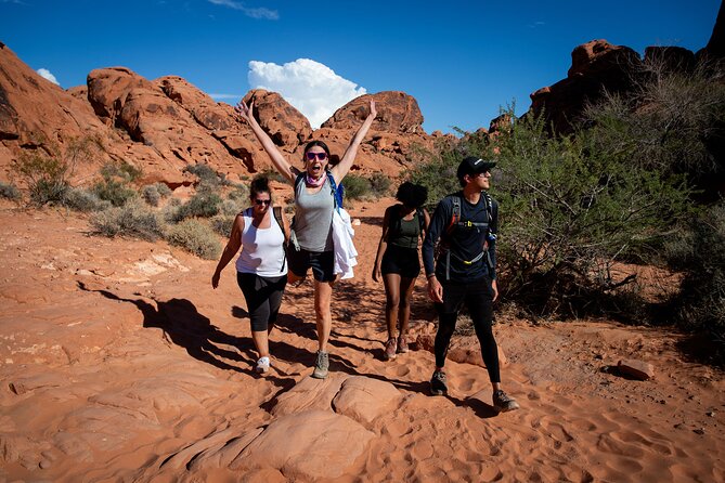 Valley of Fire Guided Hiking Tour and Mojave Desert Adventure - Key highlights at a glance