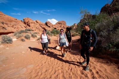Valley of Fire Guided Hiking Tour and Mojave Desert Adventure - Meeting up at 7:00 am and the Mojave drive you actually need