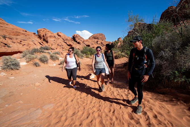 Valley of Fire Guided Hiking Tour and Mojave Desert Adventure - Meeting up at 7:00 am and the Mojave drive you actually need