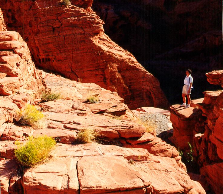 Valley of Fire & Lost City Museum Tour from Las Vegas: - Key highlights you should care about