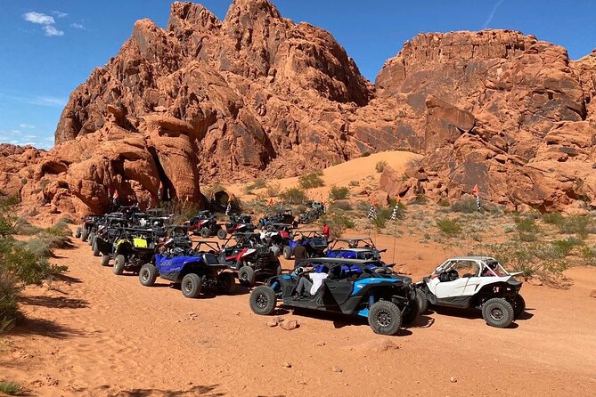Valley of Fire Single Seater UTV Tour - Lunch, water, and the small desert items that matter