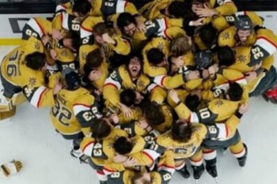 Vegas Golden Knights: NHL Hockey Tickets - Mobile tickets: quick entry, fewer hassles