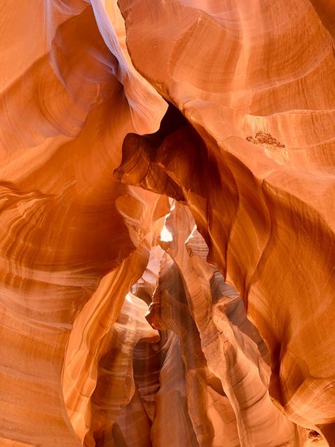 Vegas: Upper Antelope Canyon, Horseshoe Bend, Lake Powell - Vegas-to-Page Loop: Why this 1-day combo works