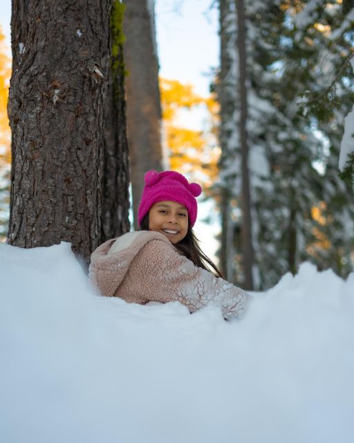 Vegas Winter Adventure: Mt. Charleston Snow Day - Price and Value: What $175 Gets You (and What It Doesn’t)