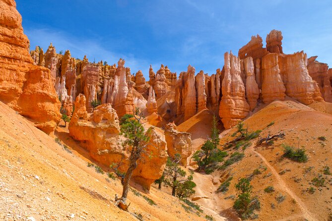 Zion & Bryce Canyon National Parks Day Tour from Las Vegas - The 4:50am Pickup and Why the Schedule Matters