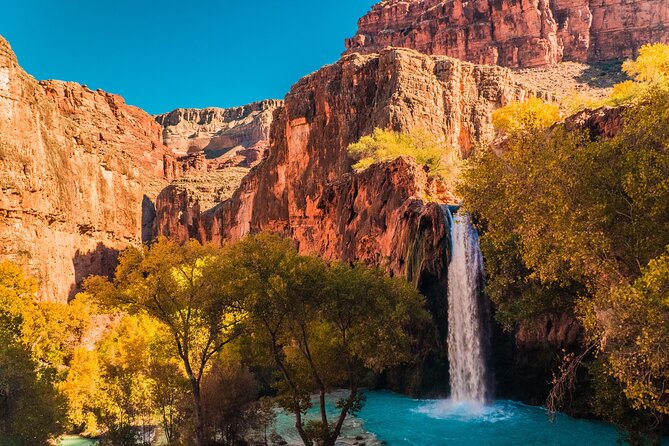 Zion National Park Day Trip from Las Vegas - Key highlights that matter on the ground