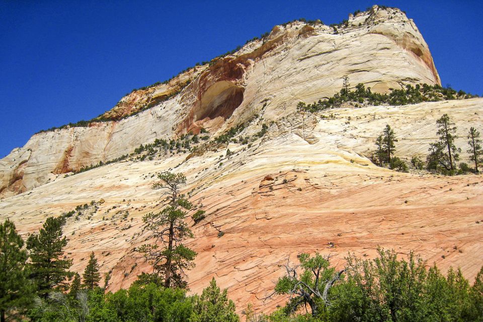 Zion National Park Small Group Adventure from Las Vegas - Zion Canyon’s signature: sandstone time and a carved river