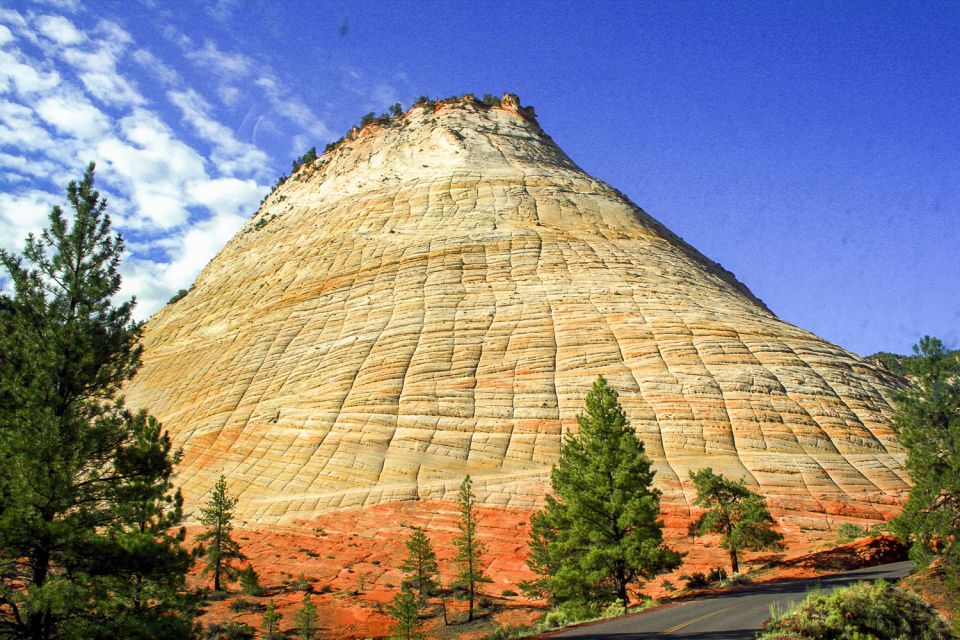 Zion National Park Small Group Adventure from Las Vegas - Wildlife spotting without the chase
