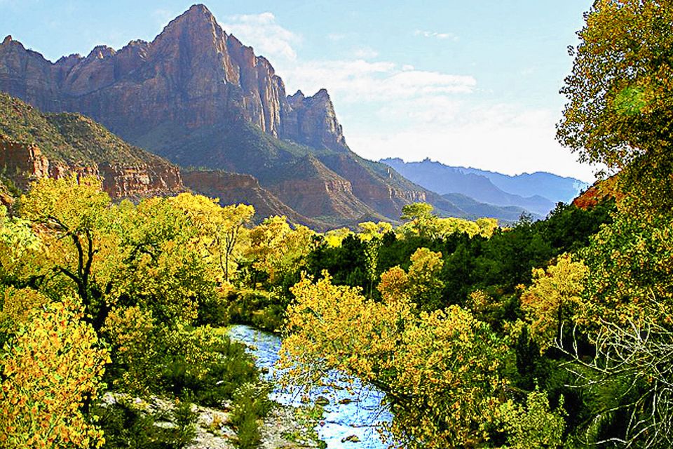 Zion National Park Small Group Adventure from Las Vegas - Plants, birds, and a canyon that changes with elevation