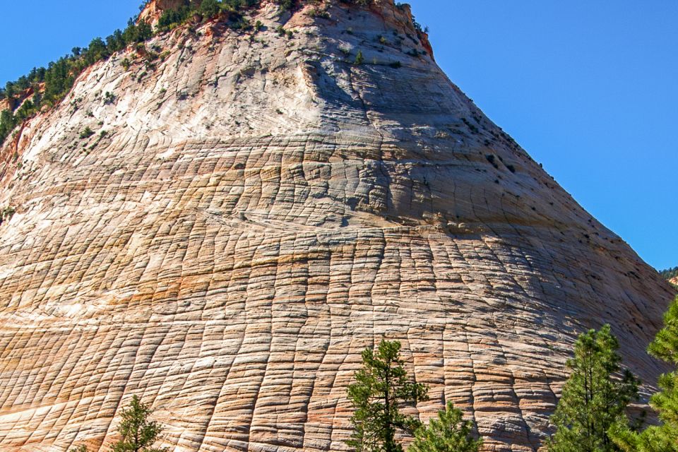 Zion National Park Small Group Adventure from Las Vegas - Lunch timing and the snack strategy that saves the day